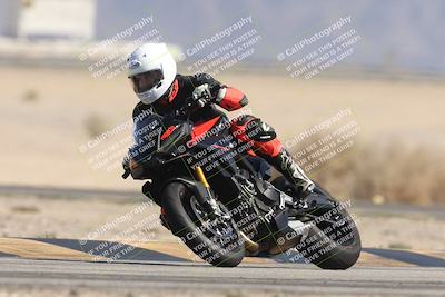 media/Oct-13-2025-Moto Forza (Mon) [[a66d839500]]/3-B Group/Session 4 Turn 4 Tree of Life/